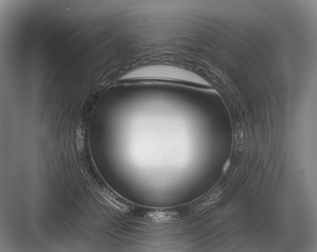 X0000082740558200702161936