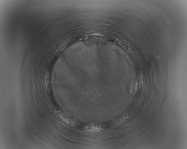 X0000082740559200702161936