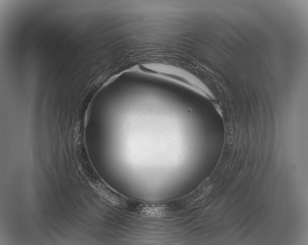 X0000082740560200702161936