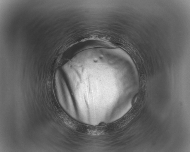 X0000082740561200702161936