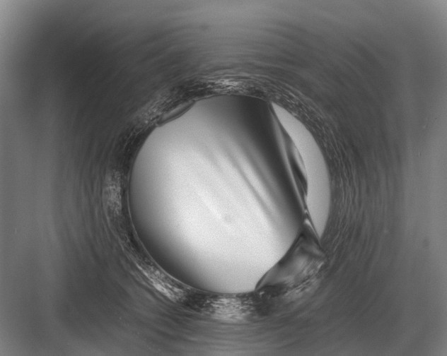 X0000082740562200702161936