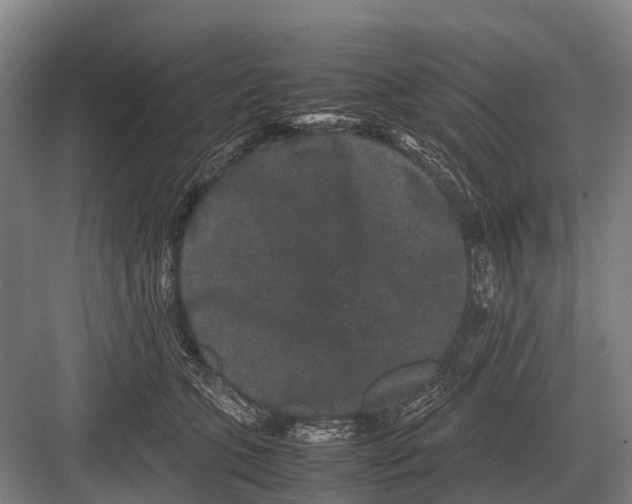 X0000082740563200702161936