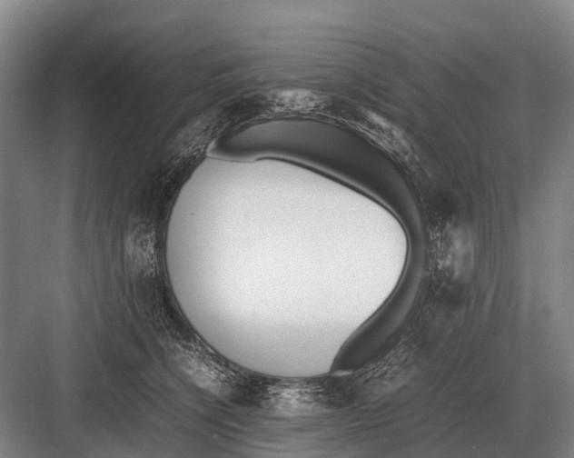 X0000082740564200702161936