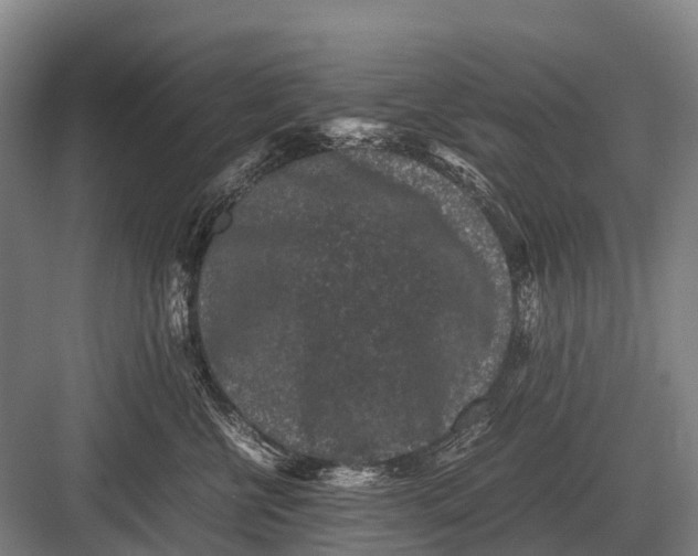 X0000082740570200702161936