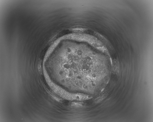 X0000082740573200702161936