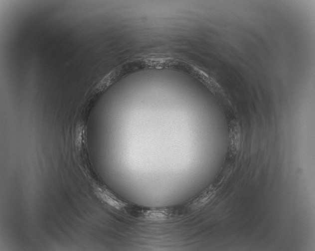 X0000082740574200702161936