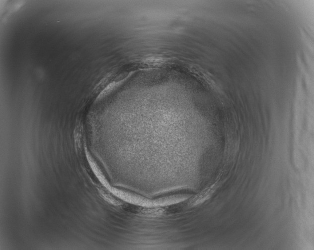 X0000082740576200702161936