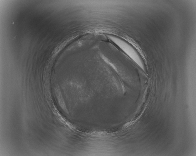 X0000082740577200702161935