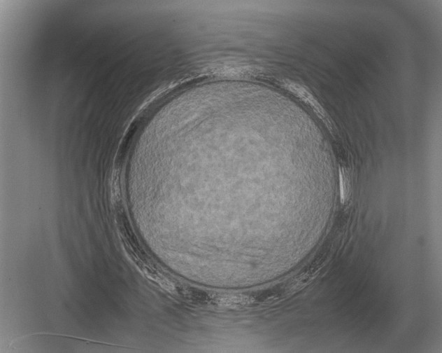 X0000082740579200702161935