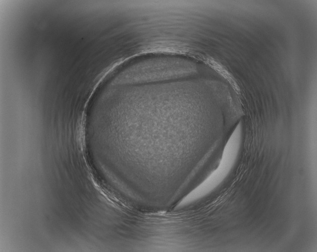 X0000082740580200702161935