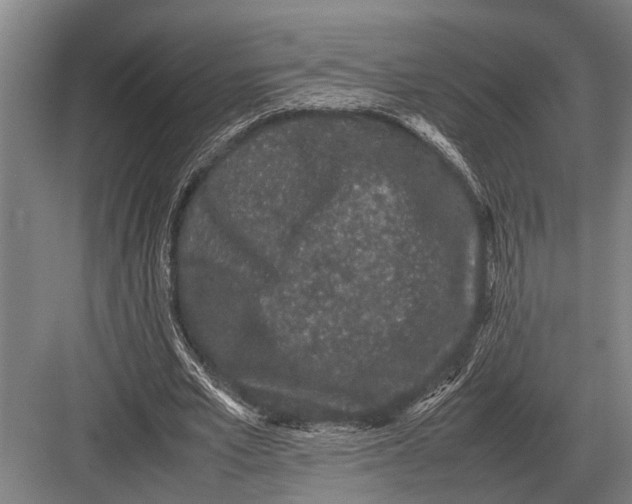 X0000082740581200702161935