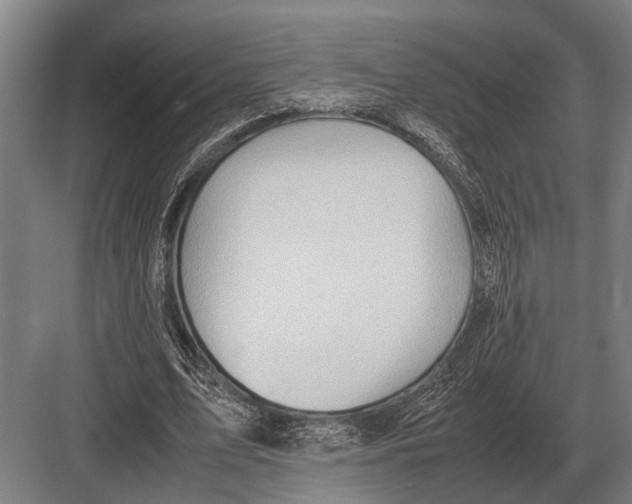 X0000082740583200702161935