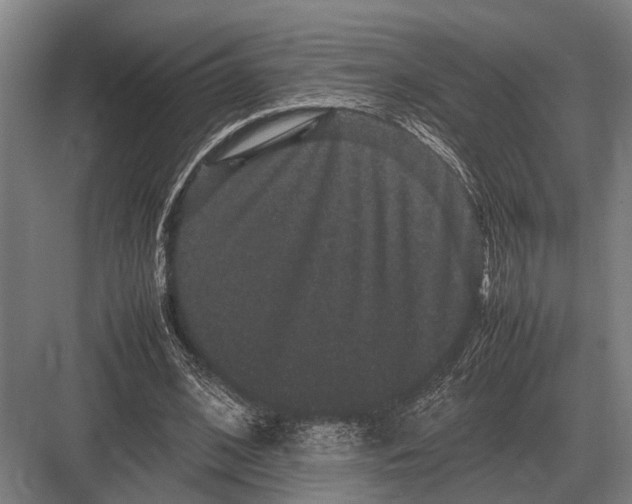 X0000082740584200702161935