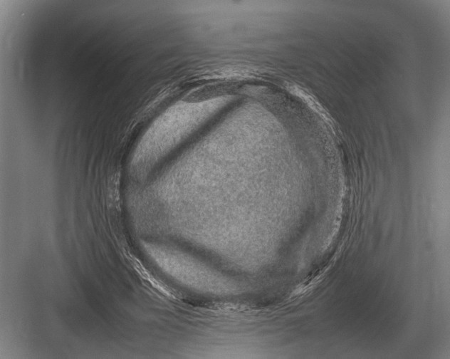 X0000082740585200702161935