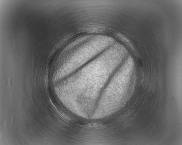 X0000082740586200702161935