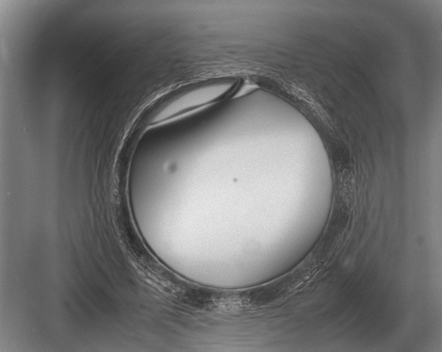 X0000082740587200702161935