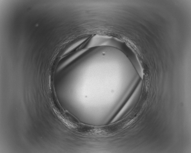 X0000082740589200702161935