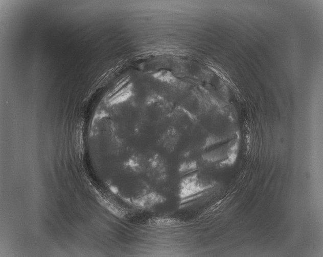 X0000082740590200702161935