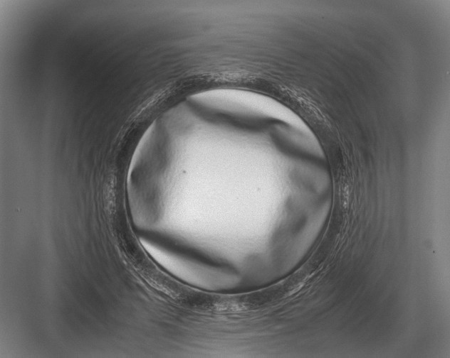 X0000082740591200702161935