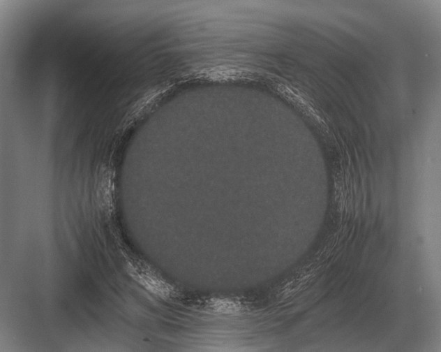 X0000082740592200702161935