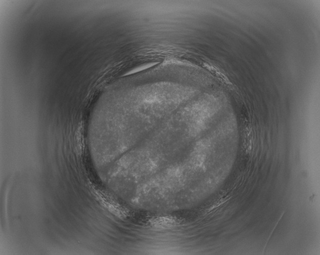 X0000082740594200702161935