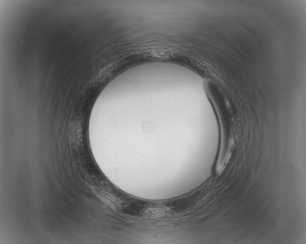 X0000082740595200702161935