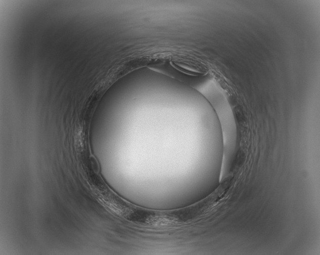 X0000082740597200702161935