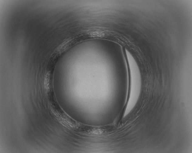 X0000082740600200702161935