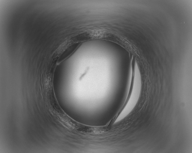 X0000082740601200702161935