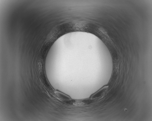 X0000082740603200702161935