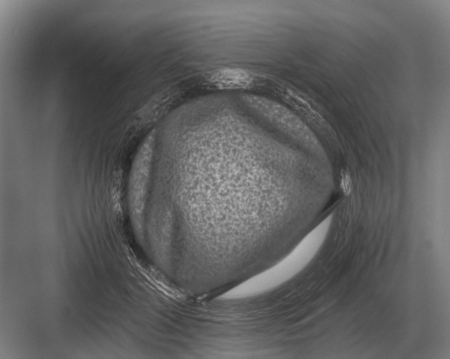 X0000082740604200702161935