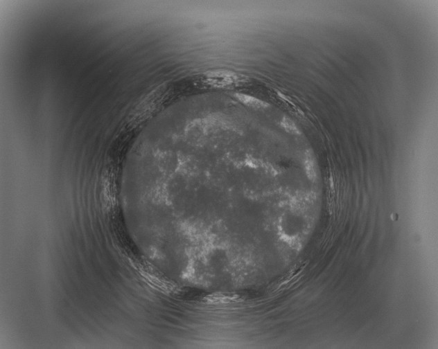 X0000082740606200702161935