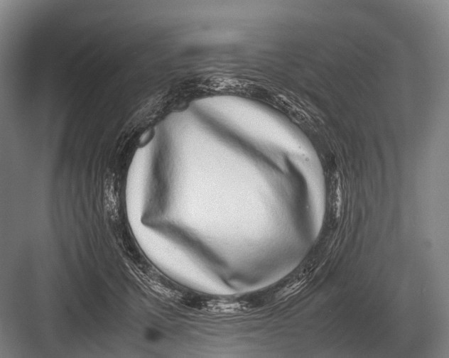 X0000082740607200702161935