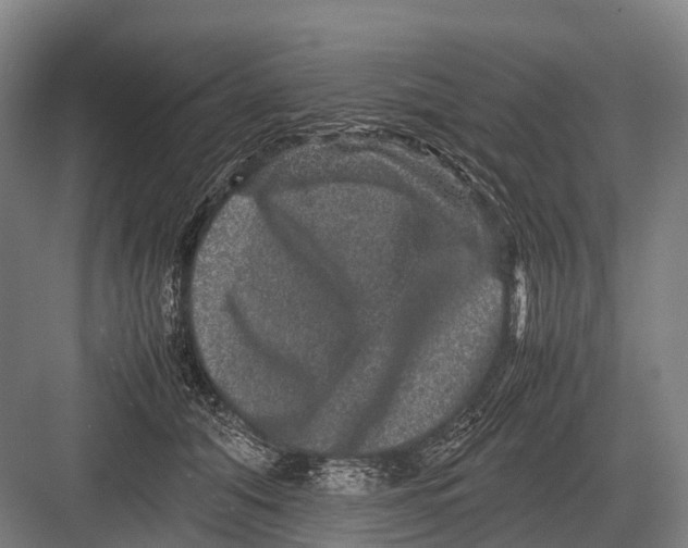 X0000082740608200702161935