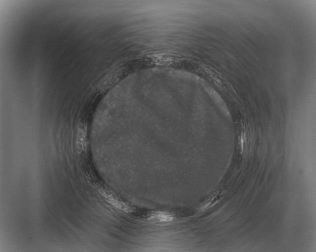 X0000082740610200702161935