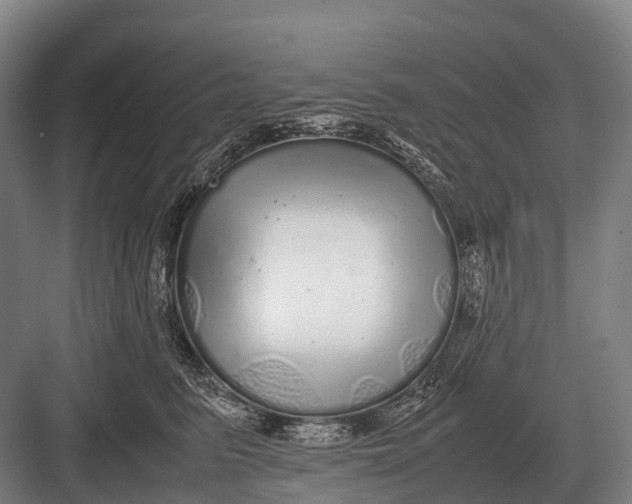 X0000082740615200702161935