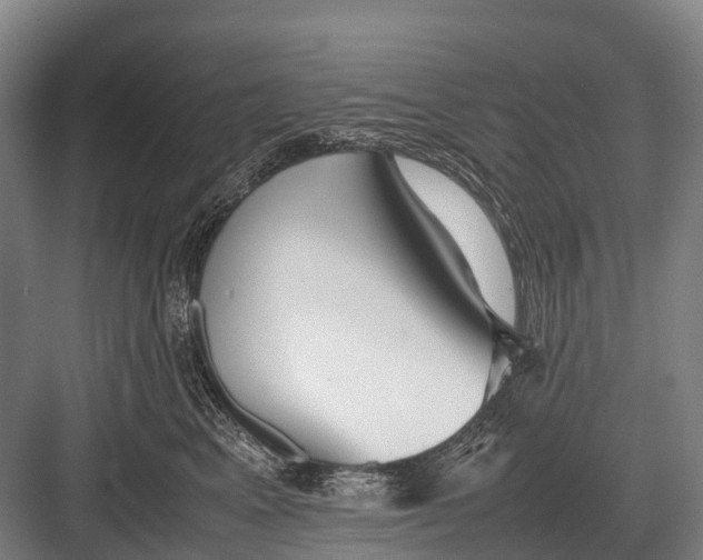 X0000082740617200702161935