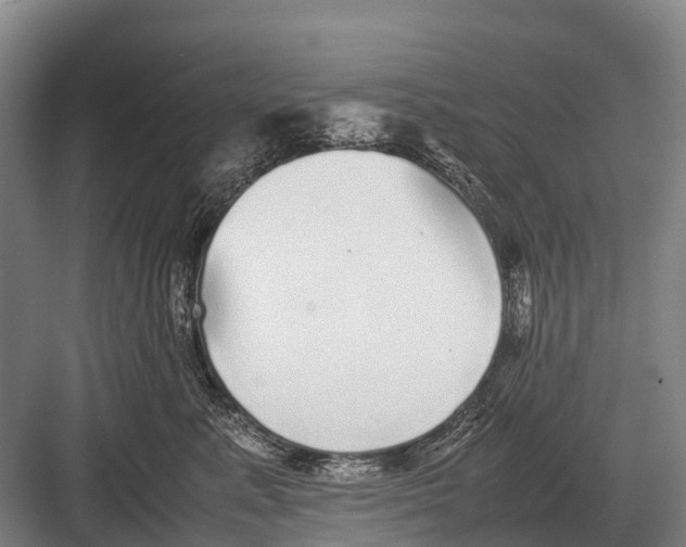 X0000082740619200702161935