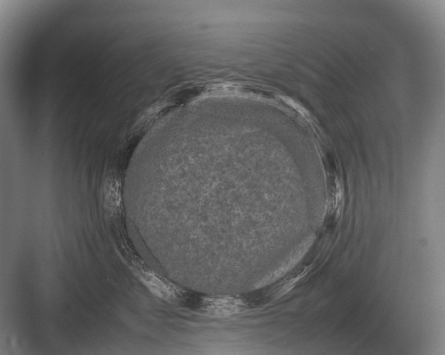 X0000082740621200702161934