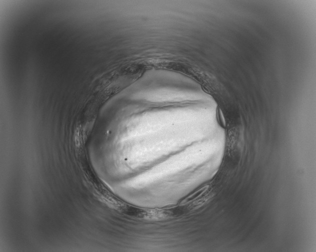 X0000082740623200702161934