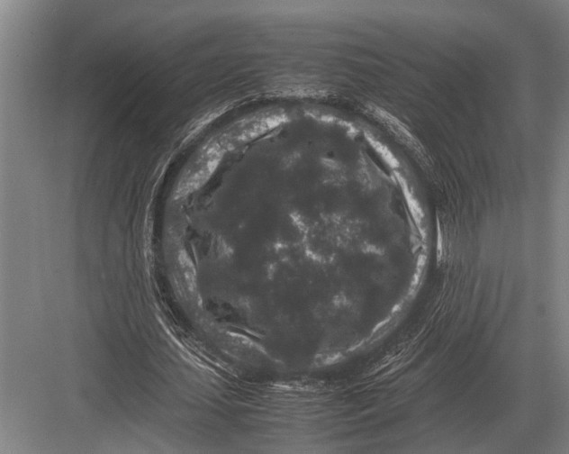 X0000082740627200702161934