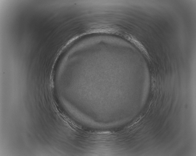 X0000082740628200702161934