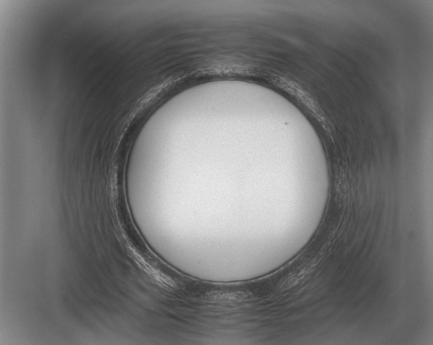 X0000082740629200702161934