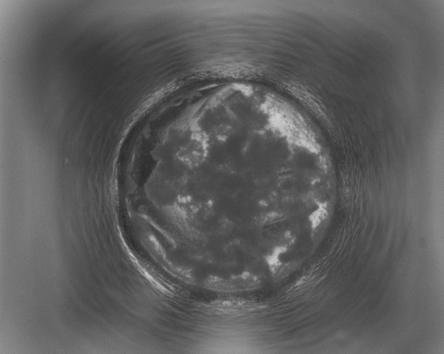 X0000082740630200702161934