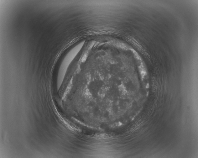 X0000082740634200702161934