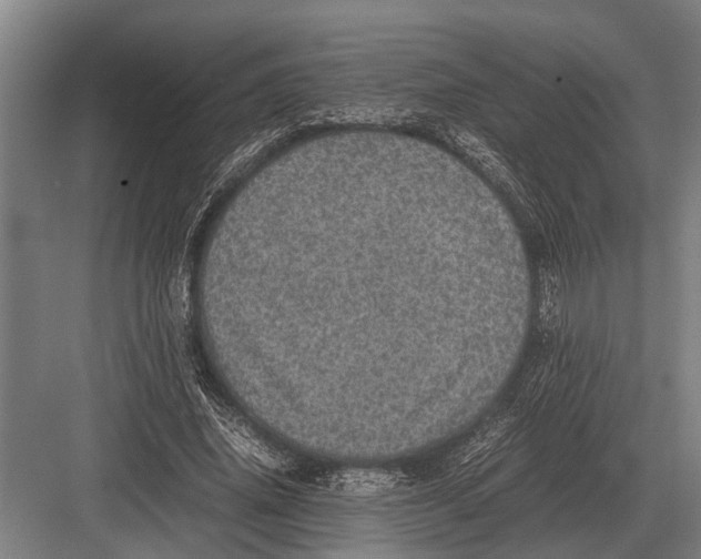 X0000082740636200702161934