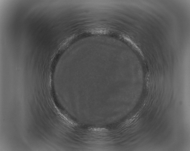 X0000082740637200702161934