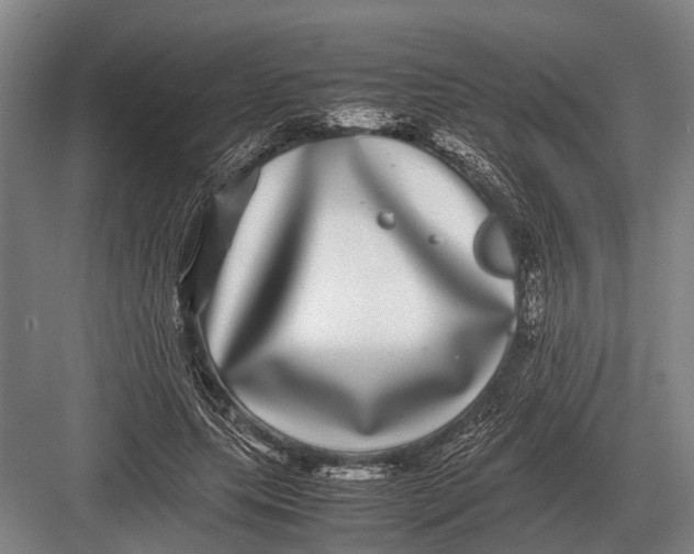 X0000082740639200702161934