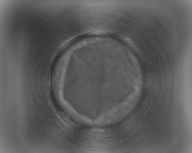 X0000082740640200702161934