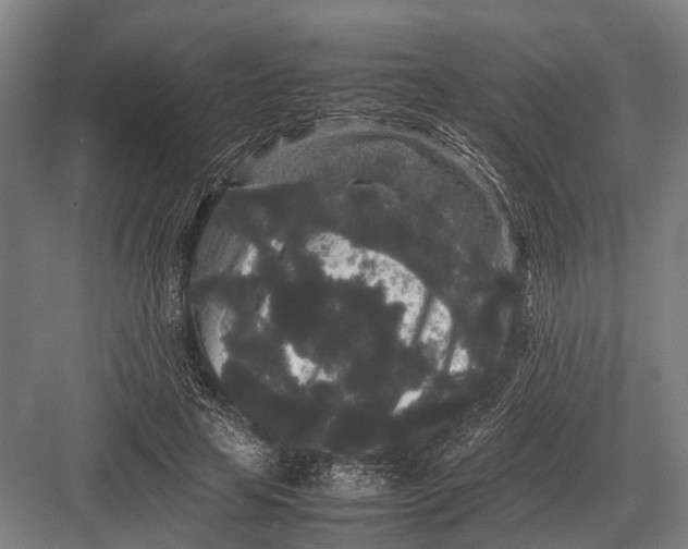 X0000082740641200702161934